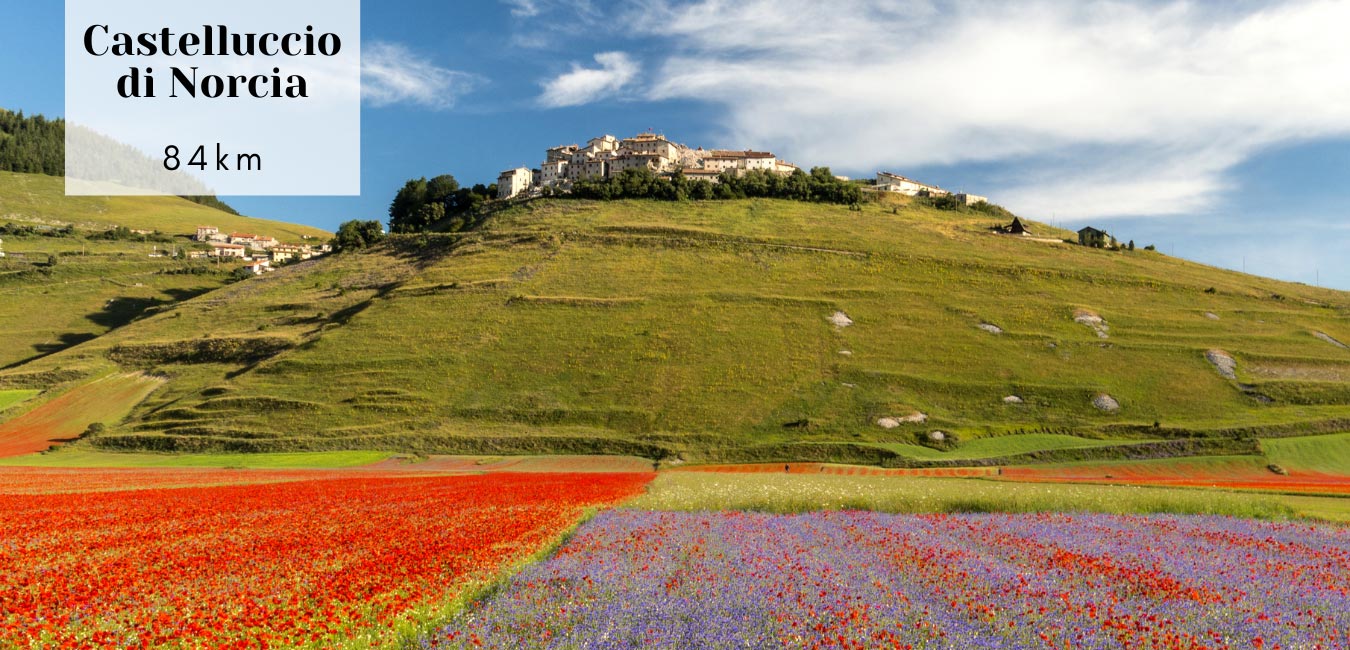 Castelluccio, fioritura. City Hotel & Suites